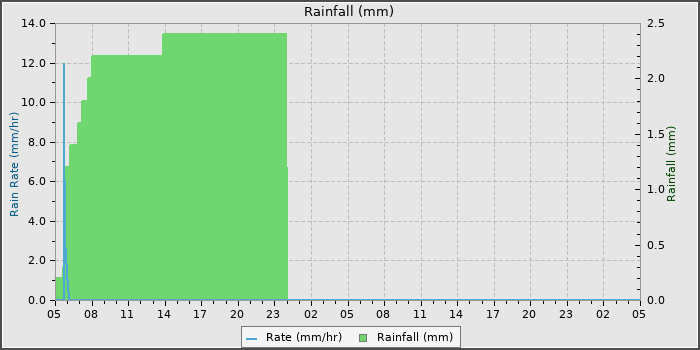 Rain