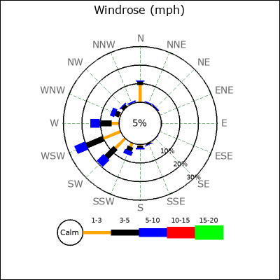 Wind Rose