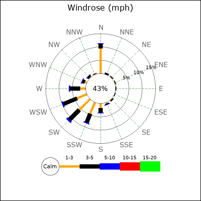 Wind Rose
