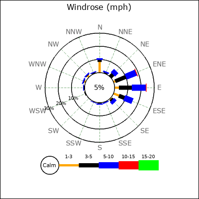 Wind Rose