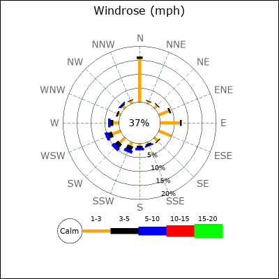 Wind Rose
